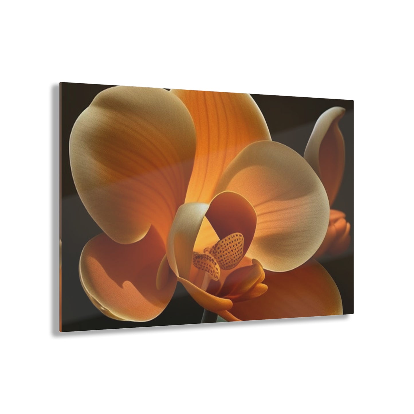 Acrylic Prints Orange Orchid 4