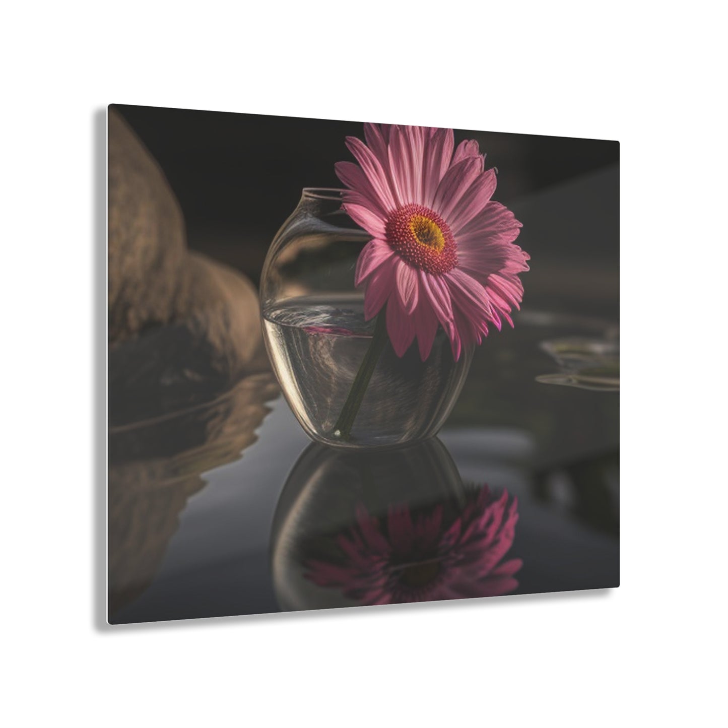 Acrylic Prints Pink Daisy 2