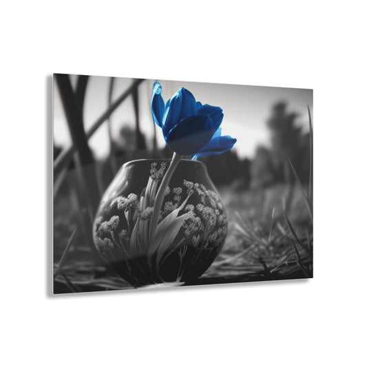 Acrylic Prints Tulip 3