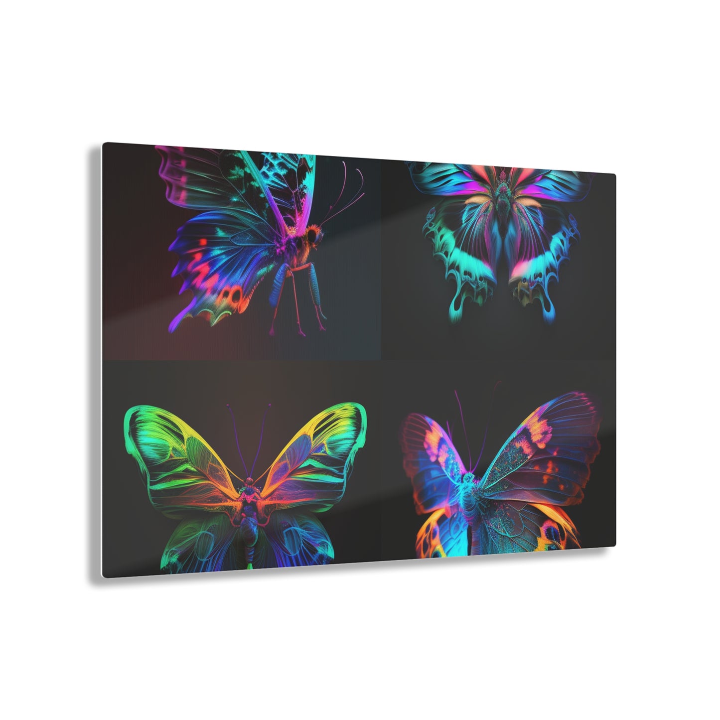 Acrylic Prints Raw Hyper Color Butterfly 5