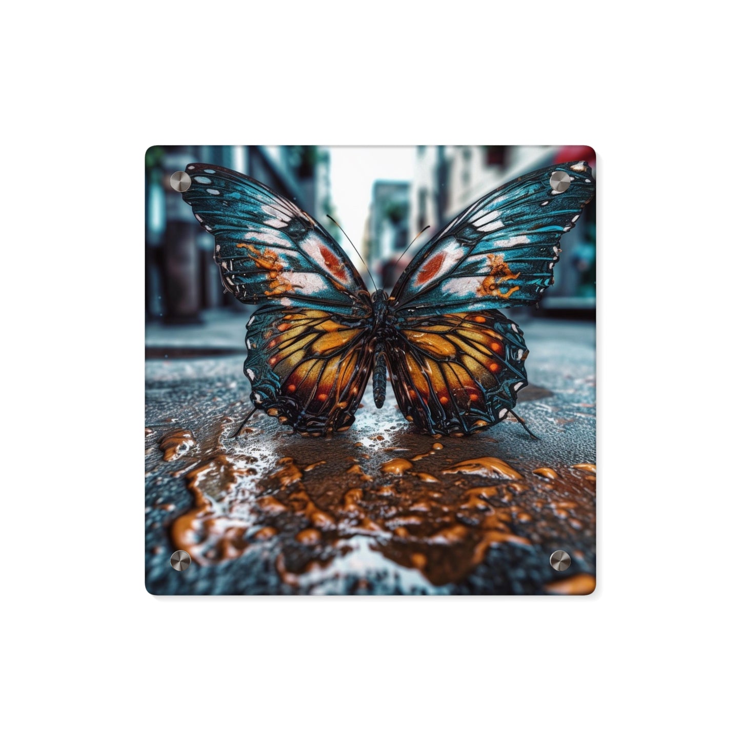 Acrylic Wall Art Panels Water Butterfly Street 3