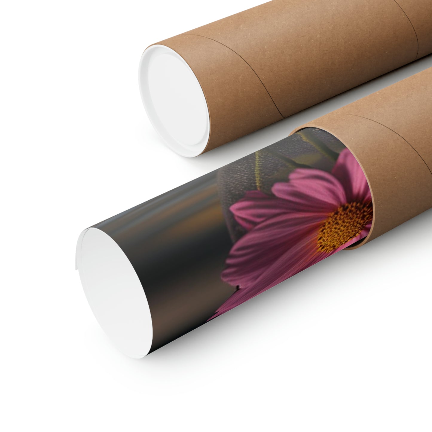 Premium Matte Vertical Posters Pink Daisy 4