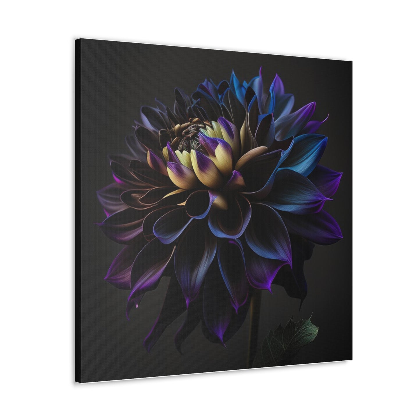 Canvas Gallery Wraps Dahlia Purple 1