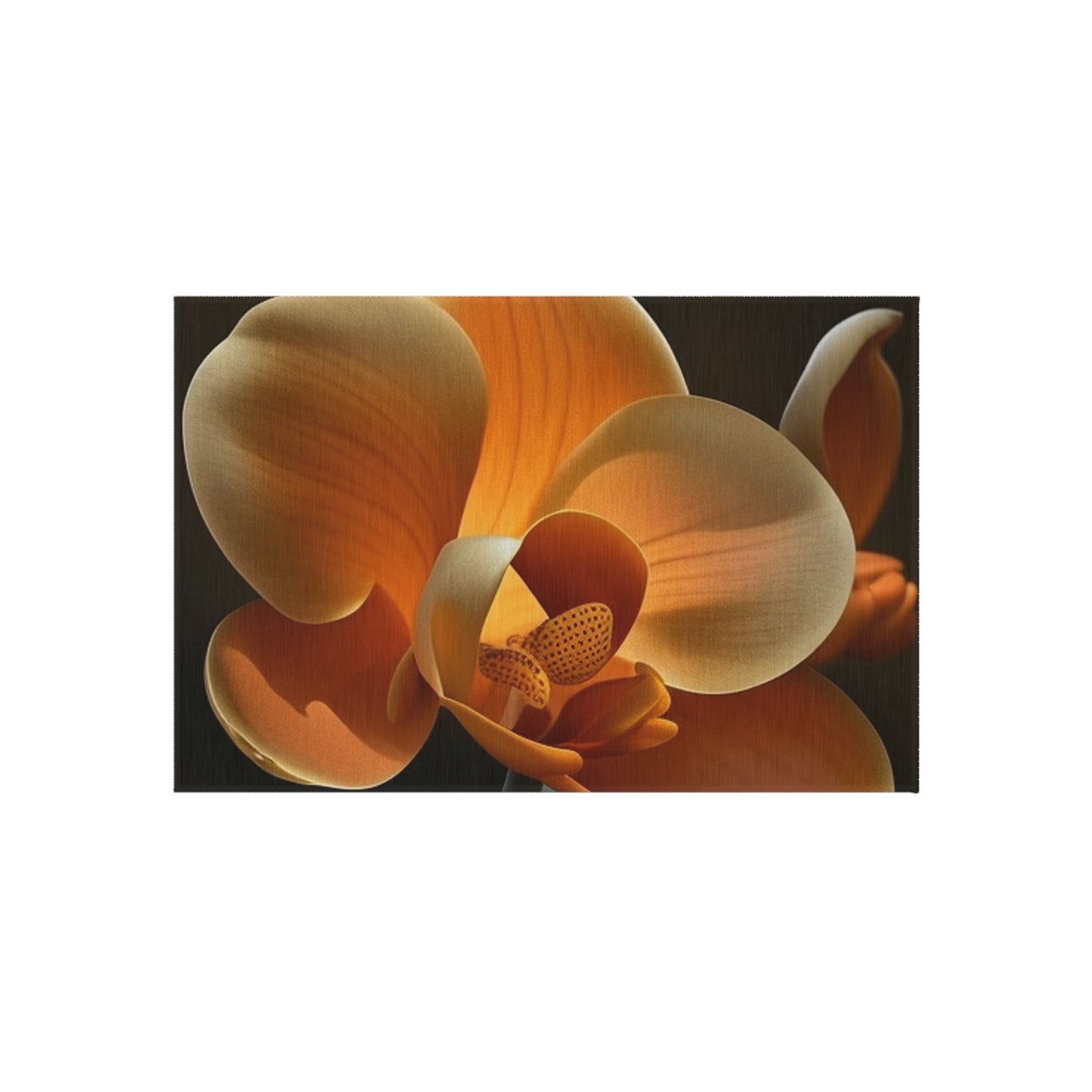 Outdoor Rug  Orange Orchid 4