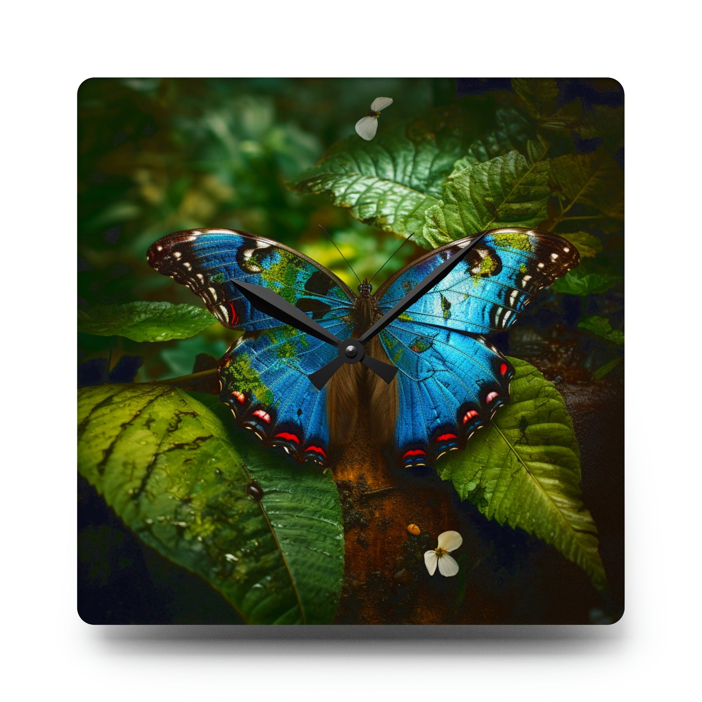 Acrylic Wall Clock Jungle Butterfly 2