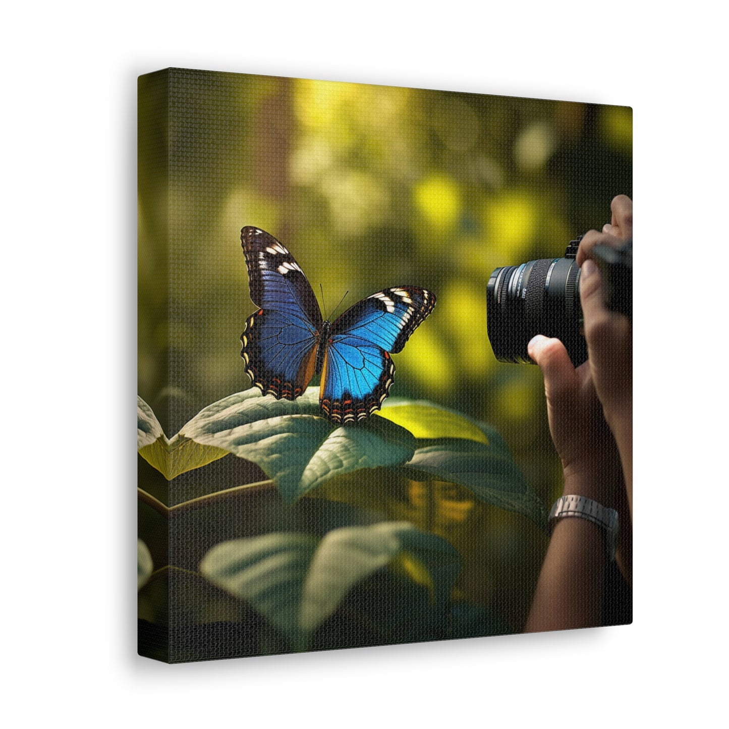 Canvas Gallery Wraps Jungle Butterfly 3