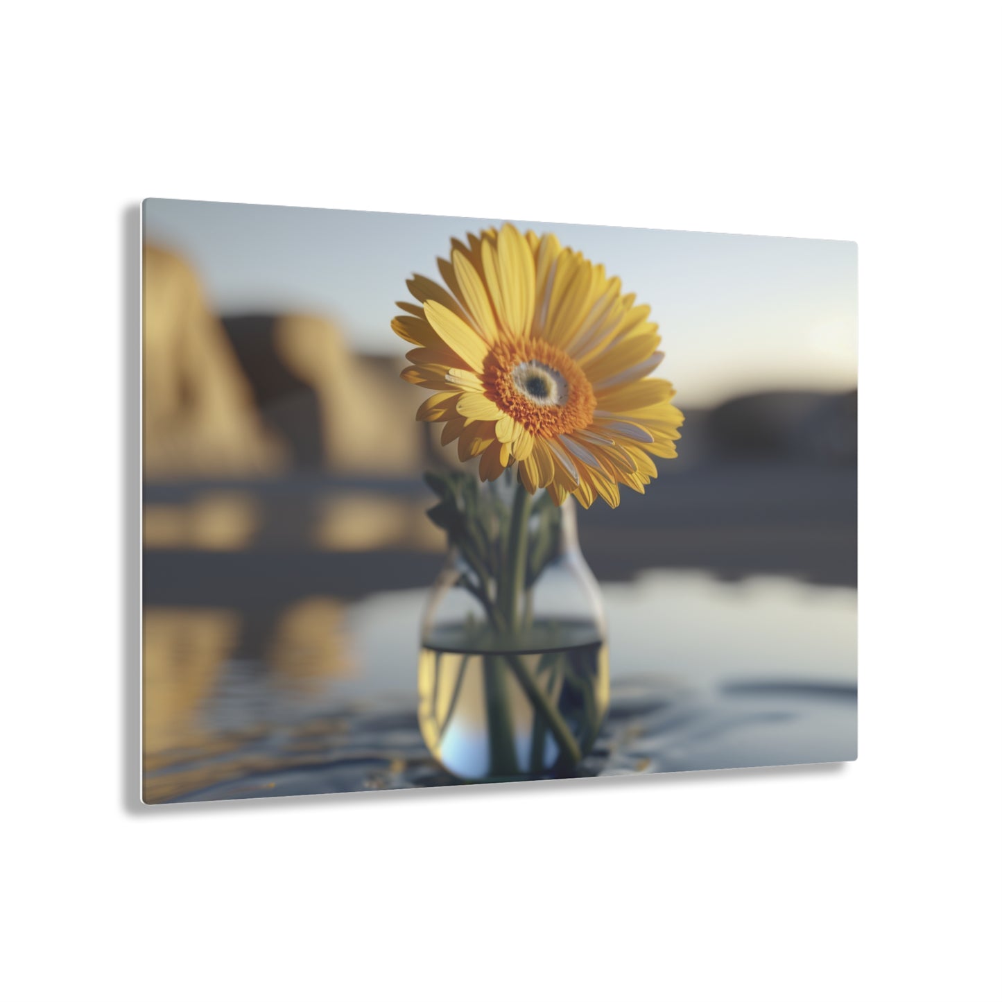 Acrylic Prints yello Gerbera glass 4