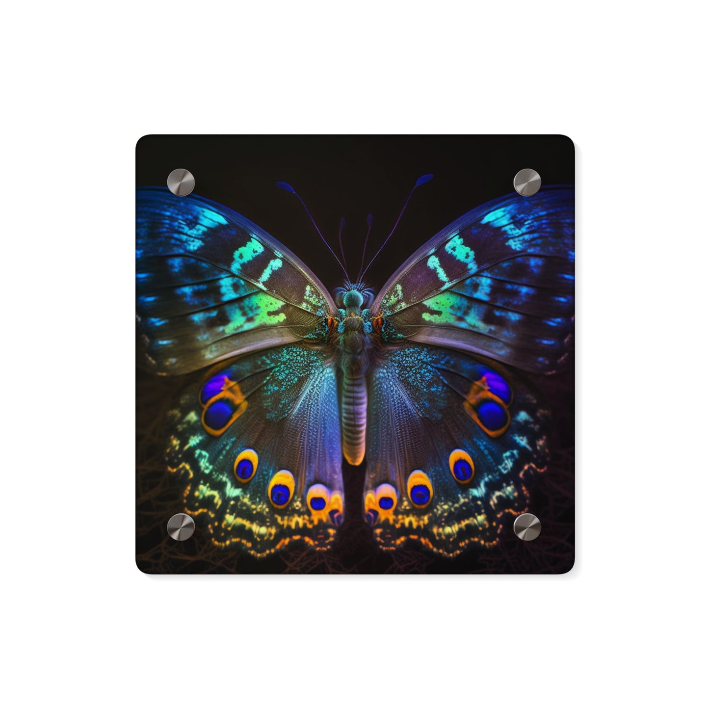 Acrylic Wall Art Panels Neon Hue Butterfly 3