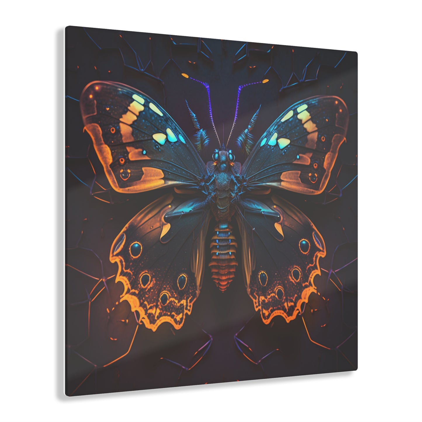 Acrylic Prints Neon Hue Butterfly 2