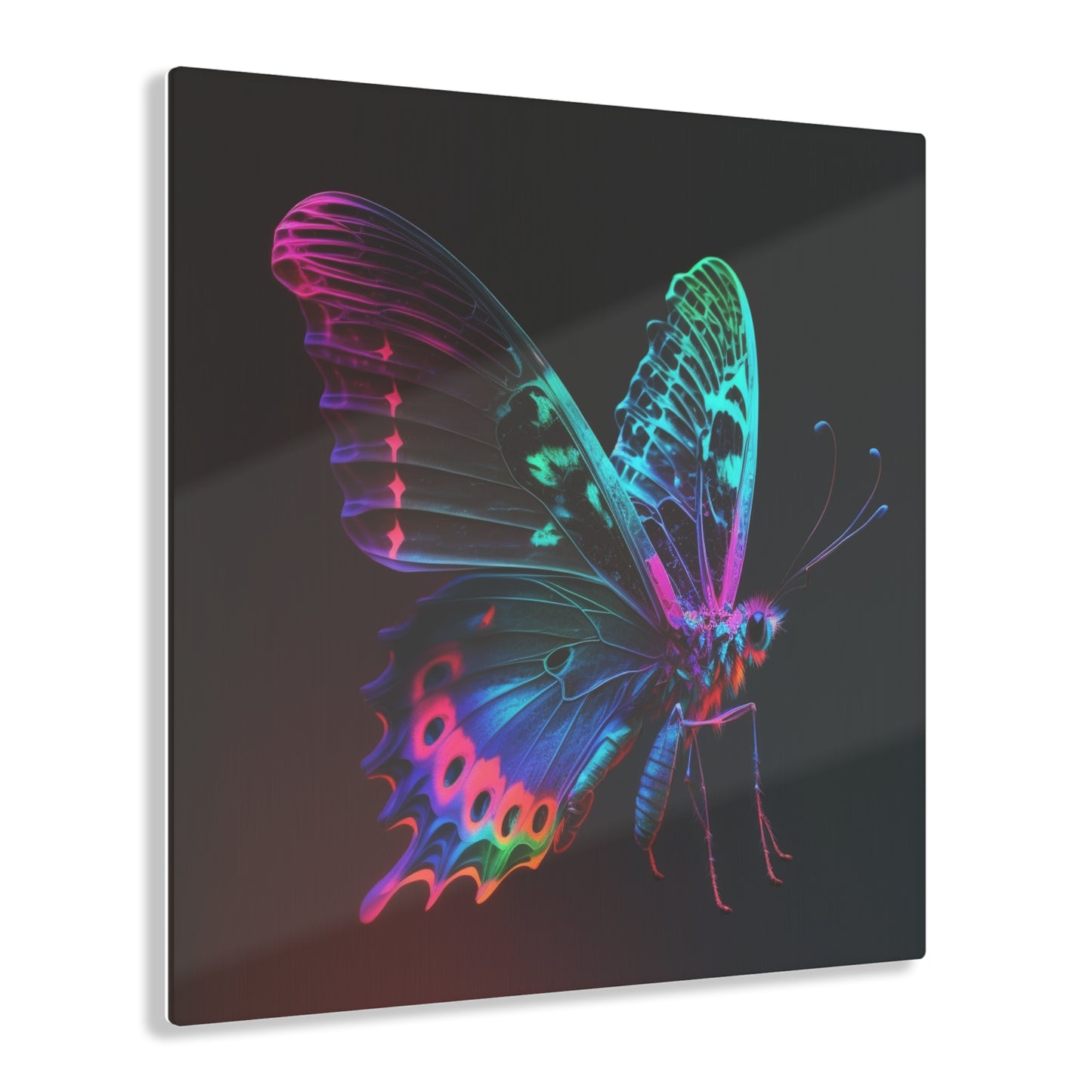 Acrylic Prints Raw Hyper Color Butterfly 1