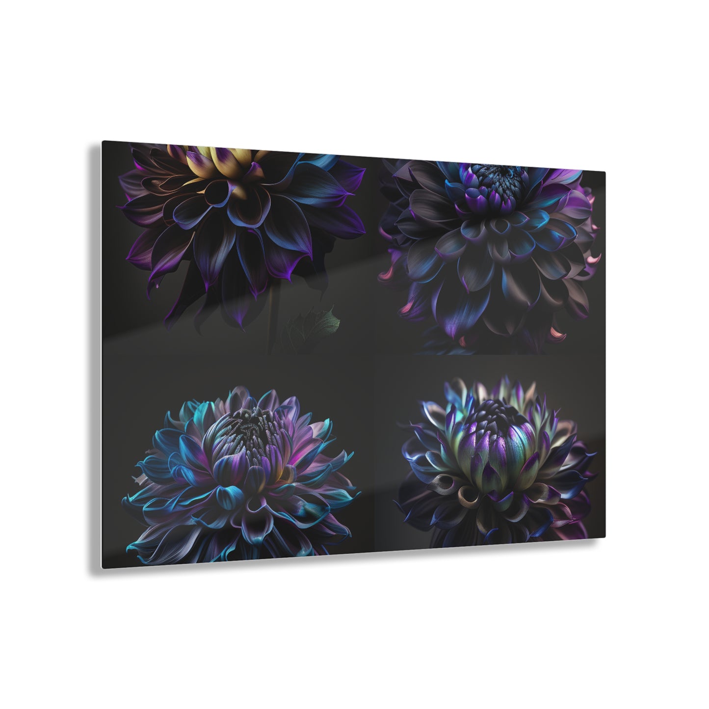 Acrylic Prints Dahlia Purple 5