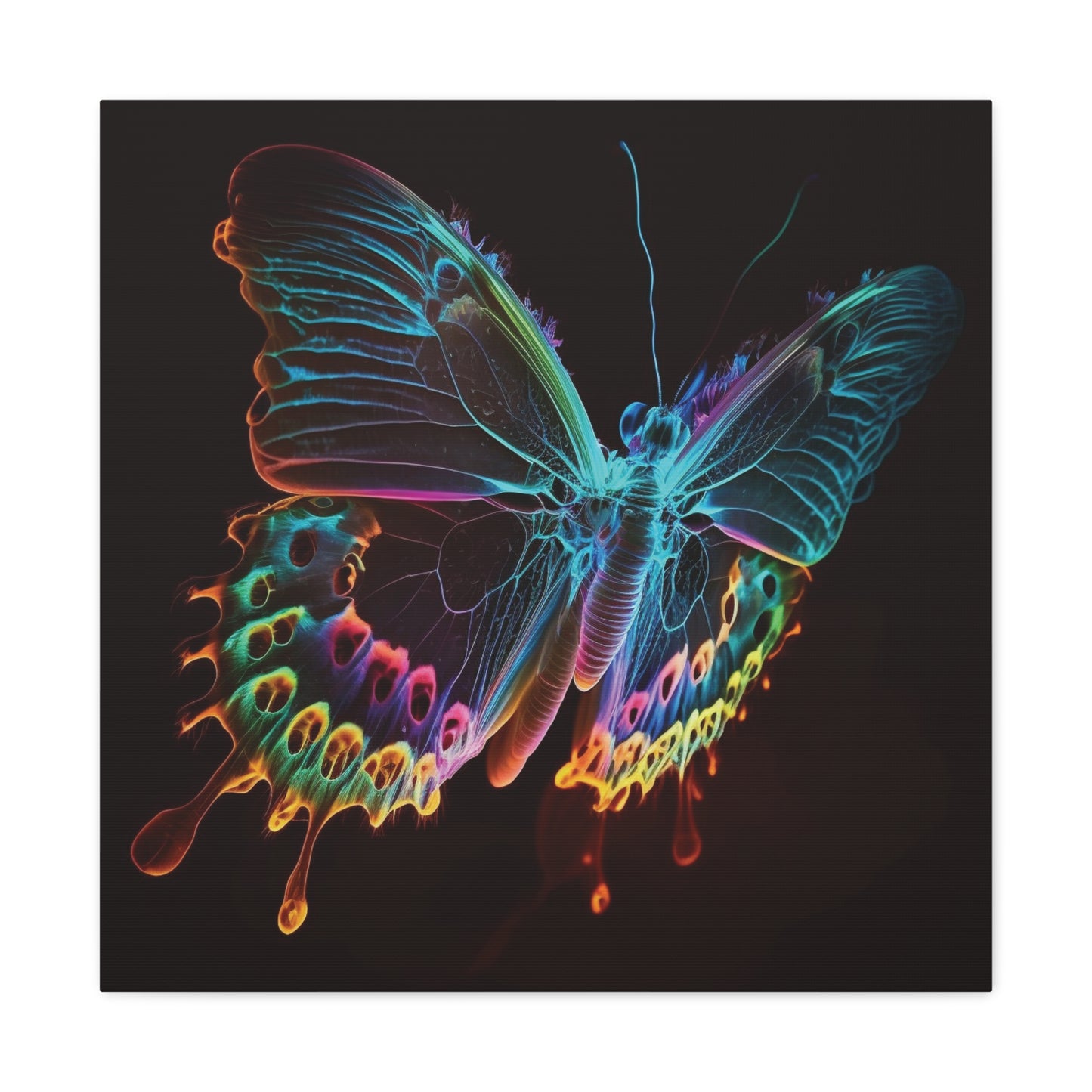 Canvas Gallery Wraps Thermal Butterfly 2