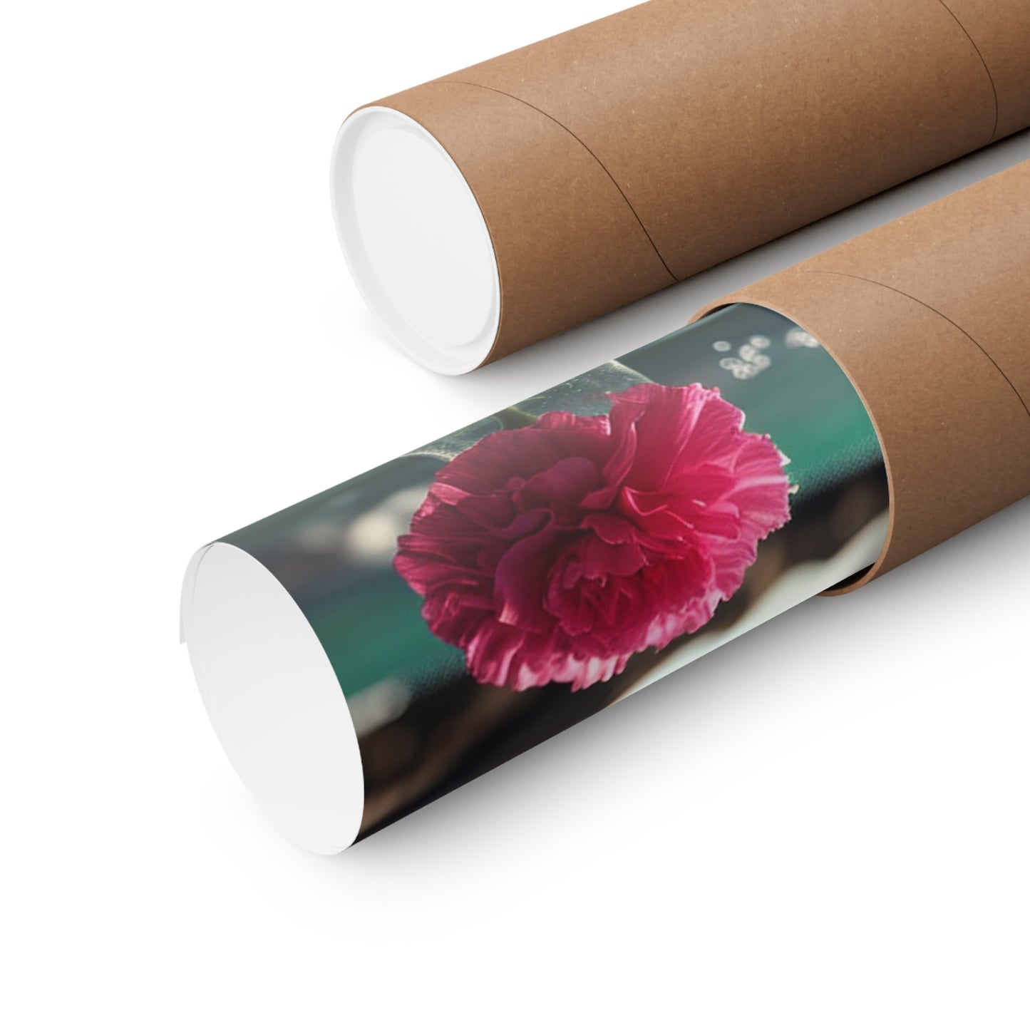 Premium Matte Vertical Posters Carnation 4