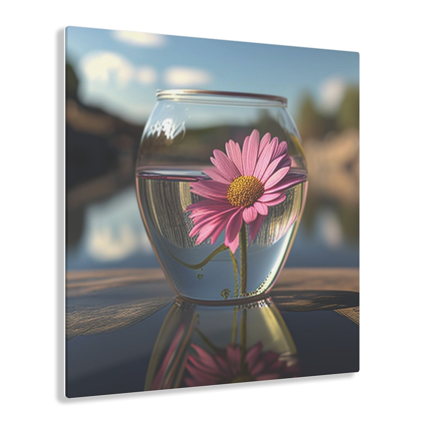 Acrylic Prints Pink Daisy 3