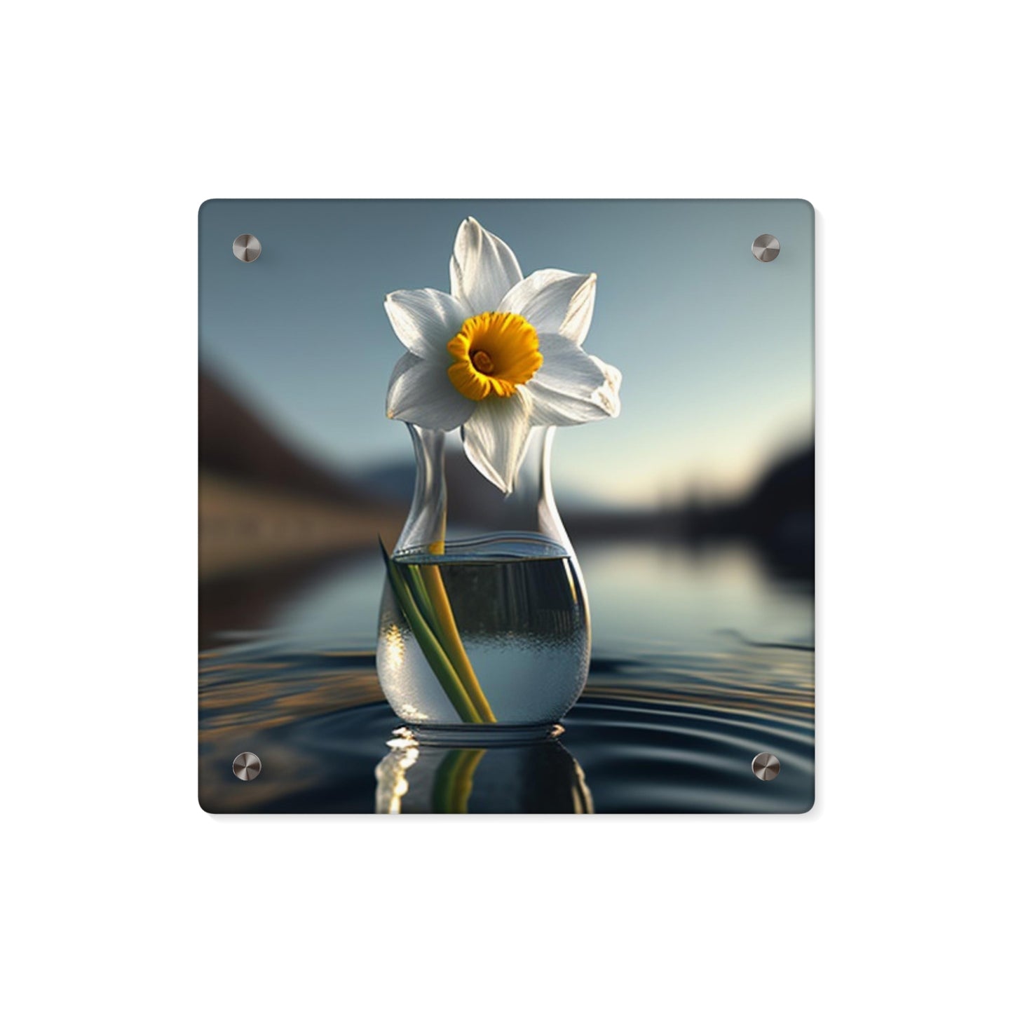 Acrylic Wall Art Panels Daffodil 3