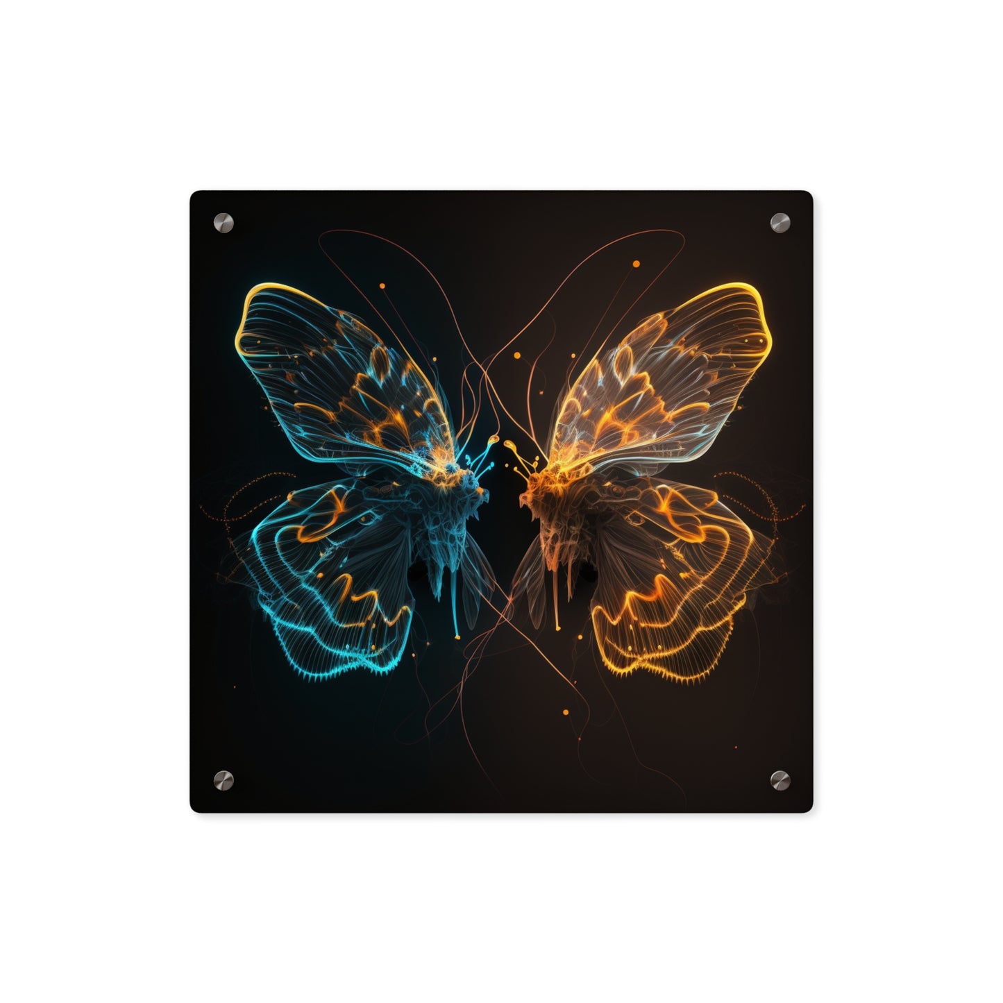 Acrylic Wall Art Panels Neon Glo Butterfly 1