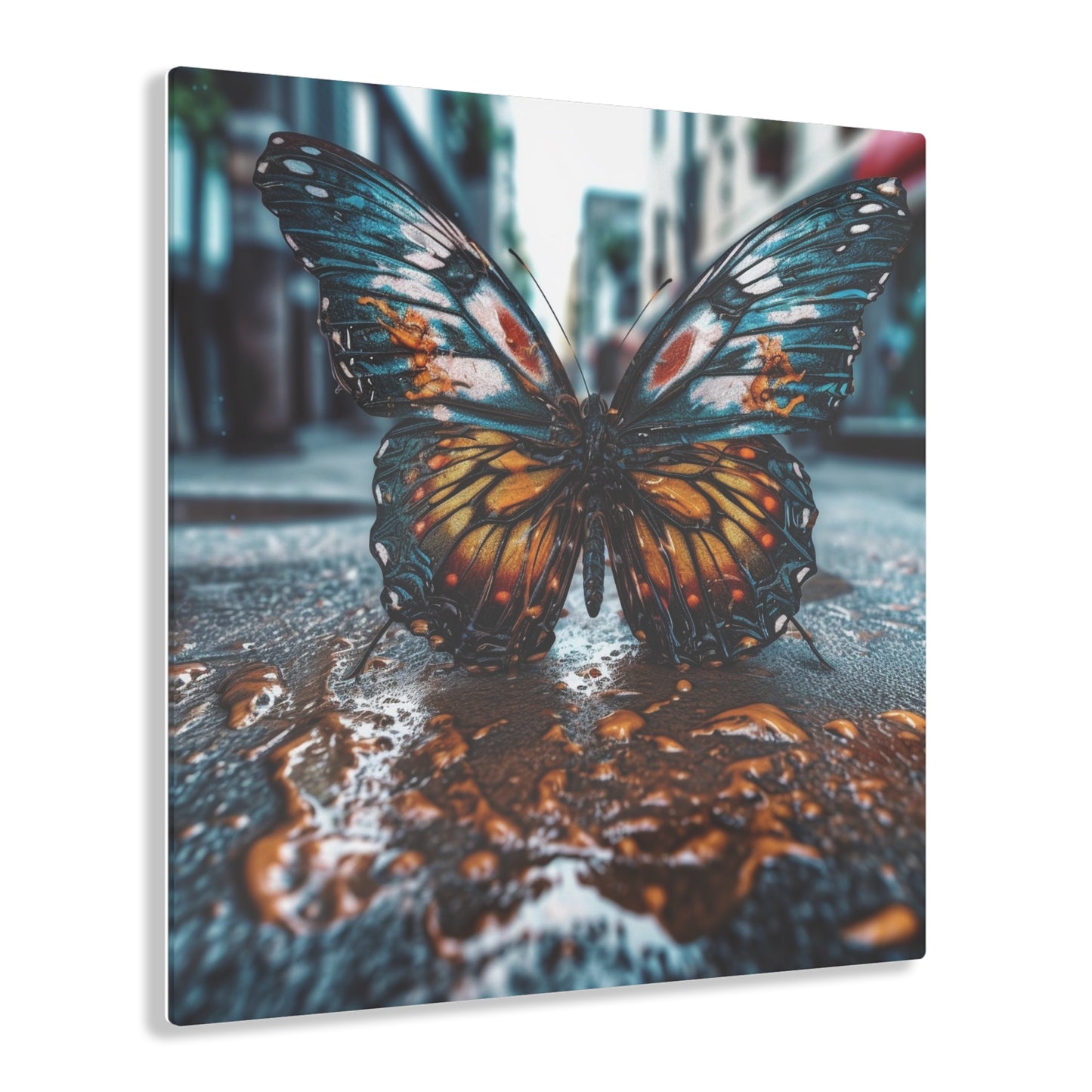 Acrylic Prints Water Butterfly Street 3