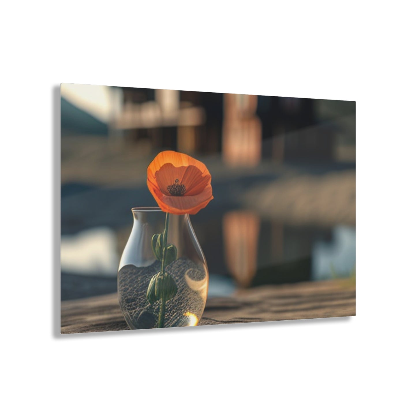 Acrylic Prints Orange Poppy in a Vase 4