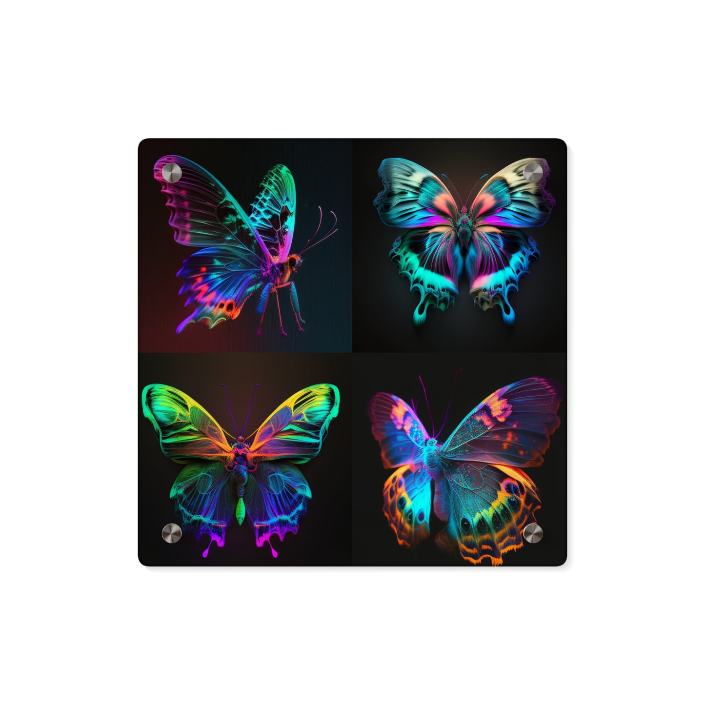 Acrylic Wall Art Panels Raw Hyper Color Butterfly 5