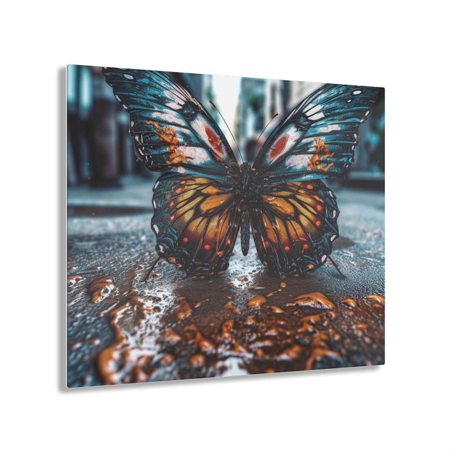 Acrylic Prints Water Butterfly Street 3