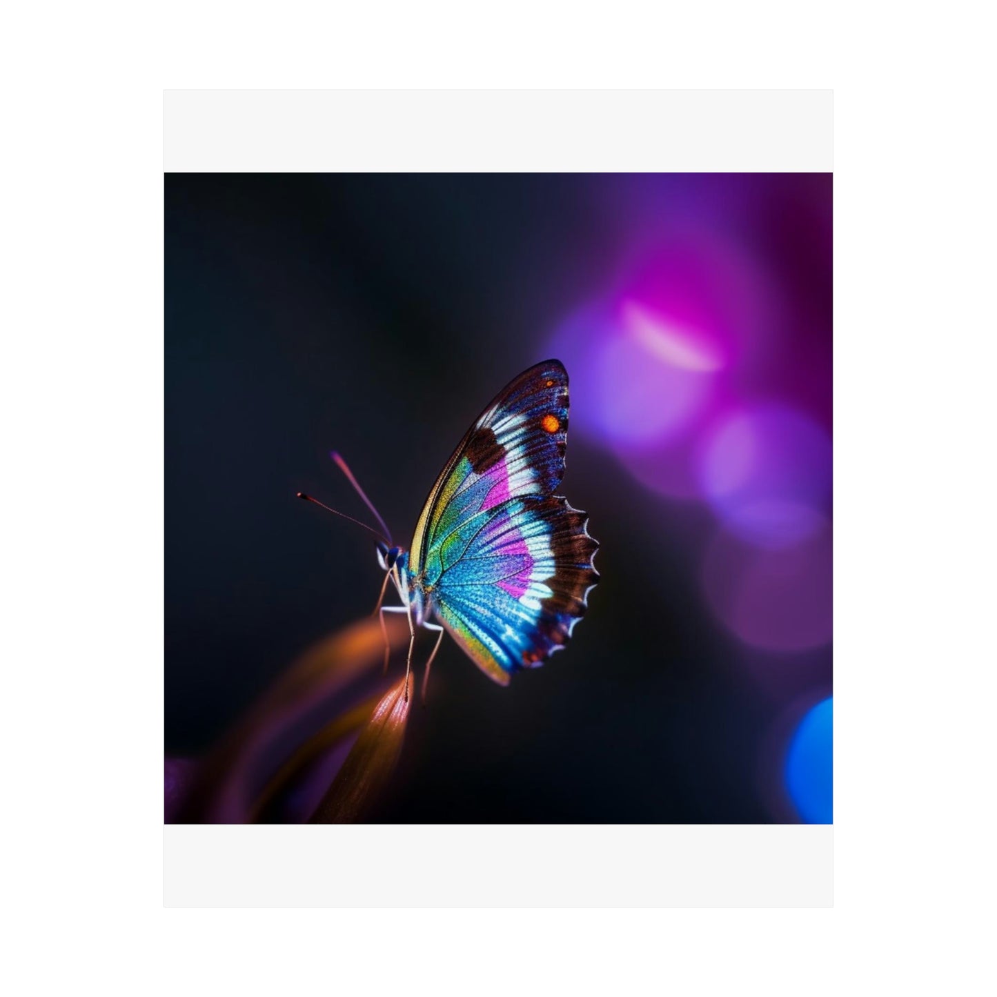 Premium Matte Vertical Posters Photo Realistic Butterfly 1