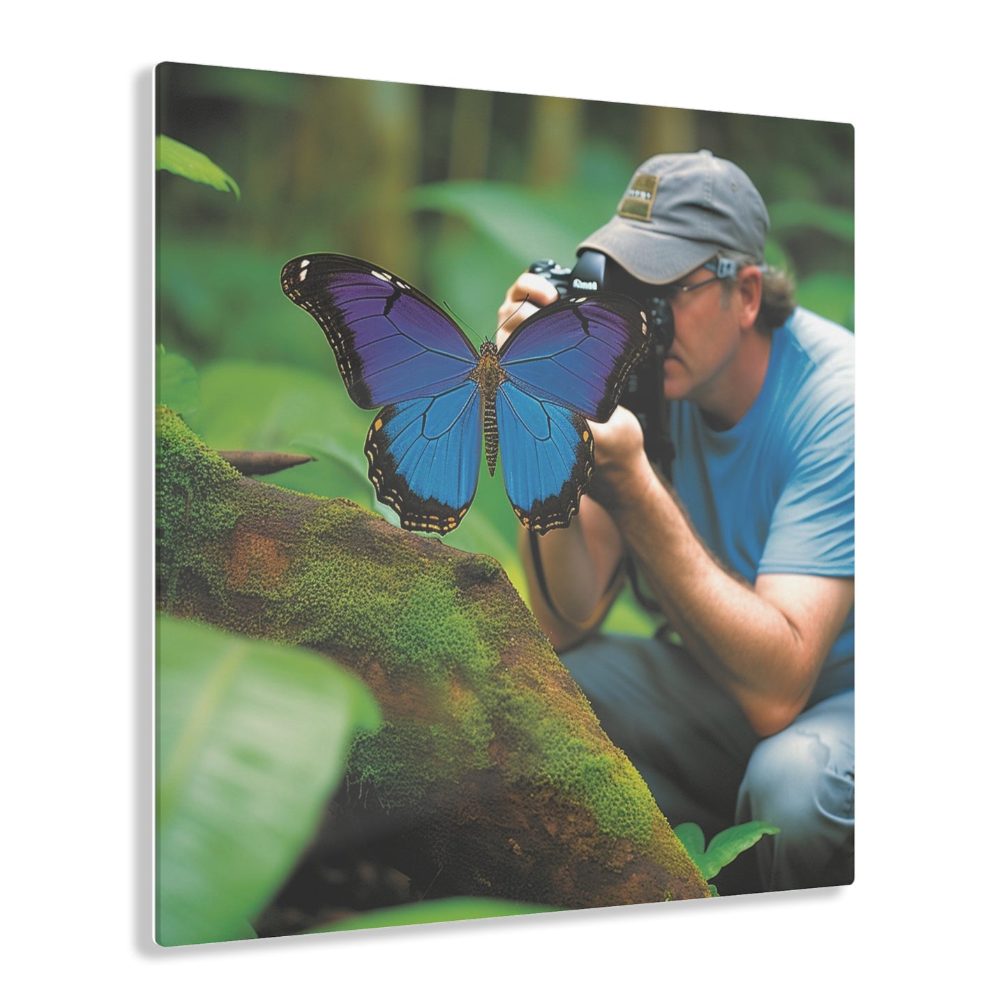 Acrylic Prints Jungle Butterfly 4