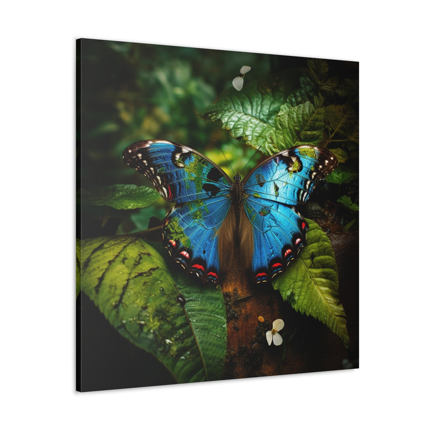 Canvas Gallery Wraps Jungle Butterfly 2