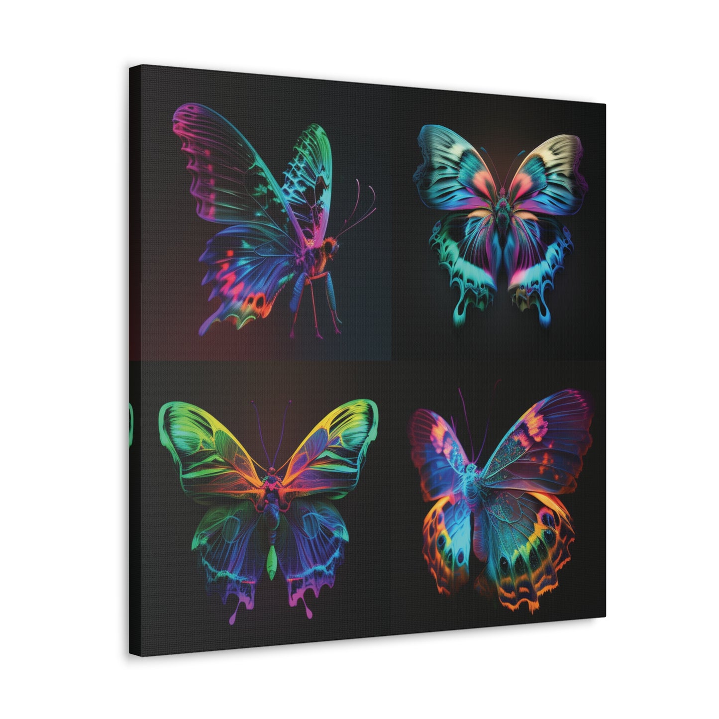 Canvas Gallery Wraps Raw Hyper Color Butterfly 5