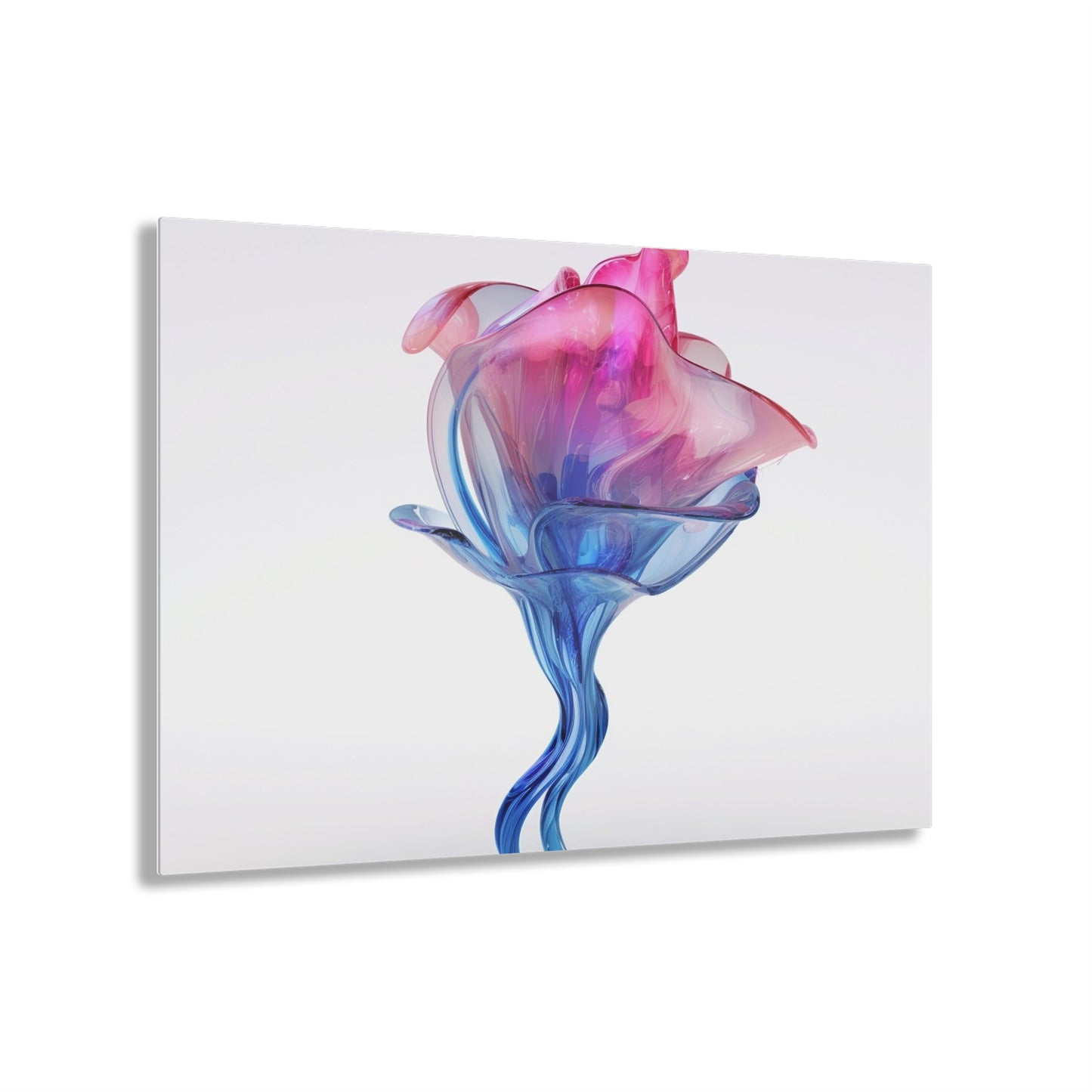 Acrylic Prints Pink & Blue Tulip Rose 4