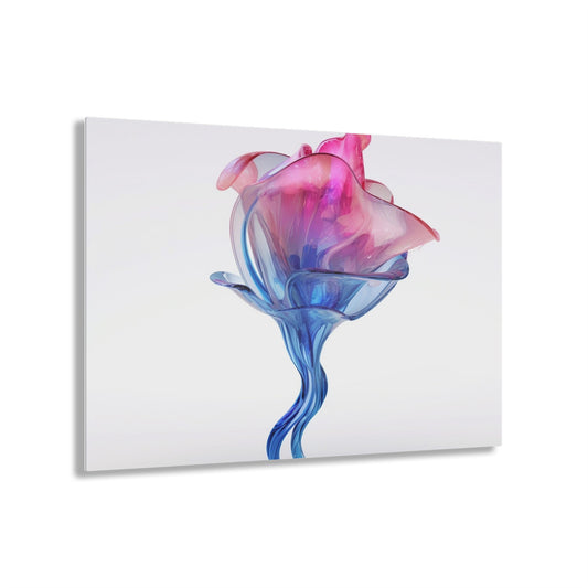 Acrylic Prints Pink & Blue Tulip Rose 4