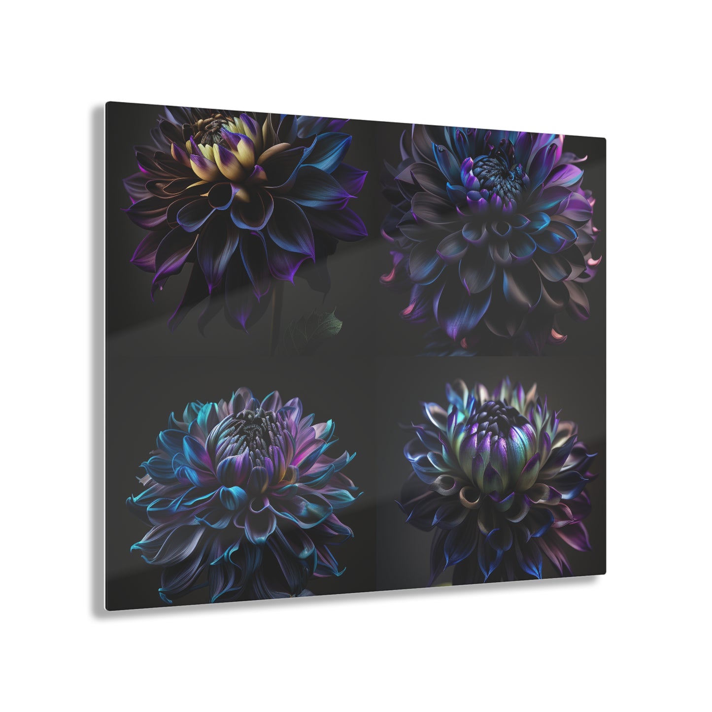 Acrylic Prints Dahlia Purple 5