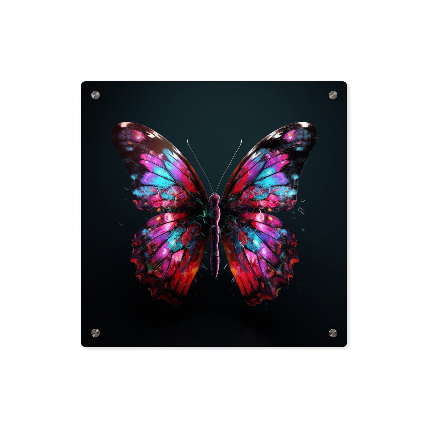 Acrylic Wall Art Panels Hyper Colorful Butterfly Macro 3