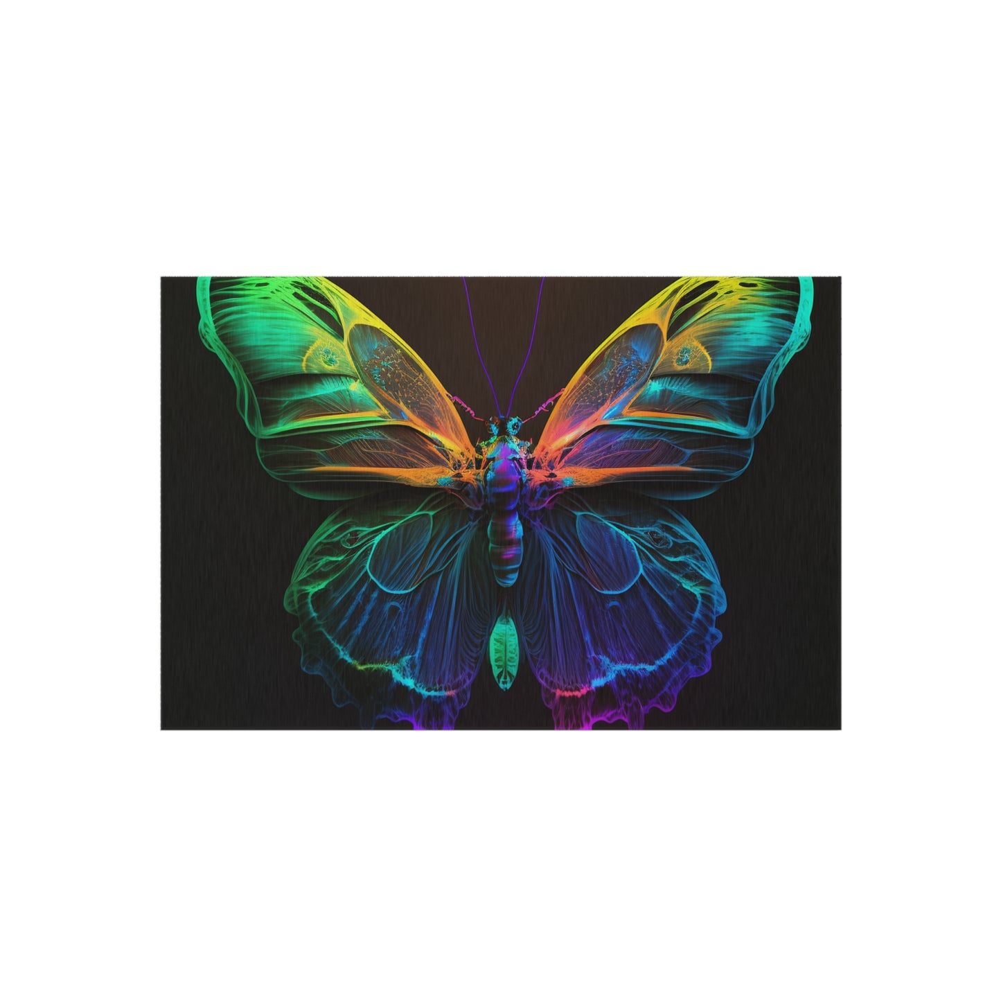 Outdoor Rug  Raw Hyper Color Butterfly 3