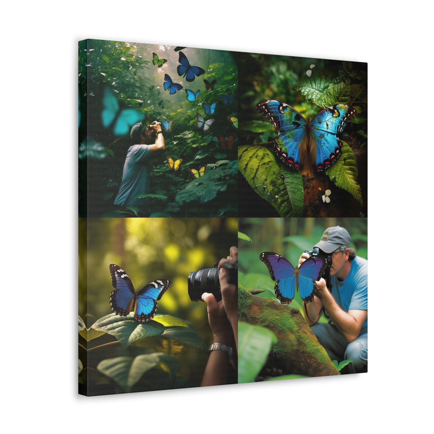 Canvas Gallery Wraps Jungle Butterfly 5