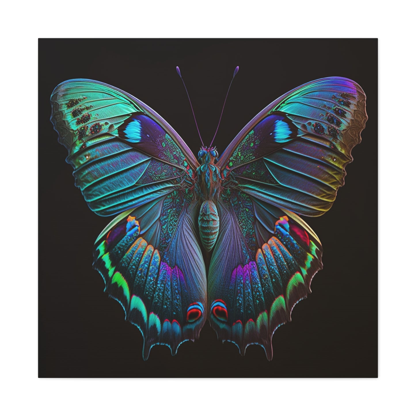 Canvas Gallery Wraps Hue Neon Butterfly 4