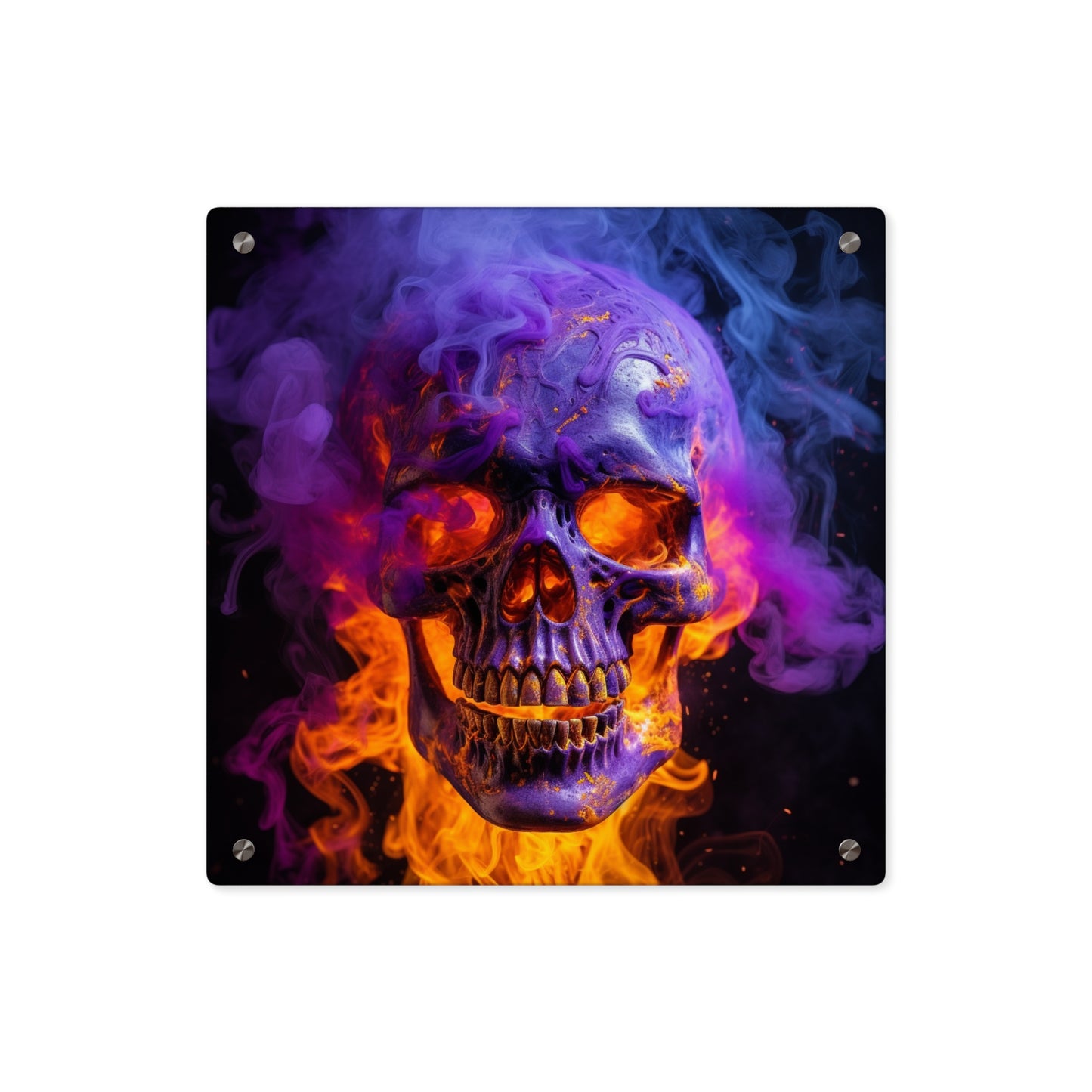 Acrylic Wall Art Panels Macro Skull 1