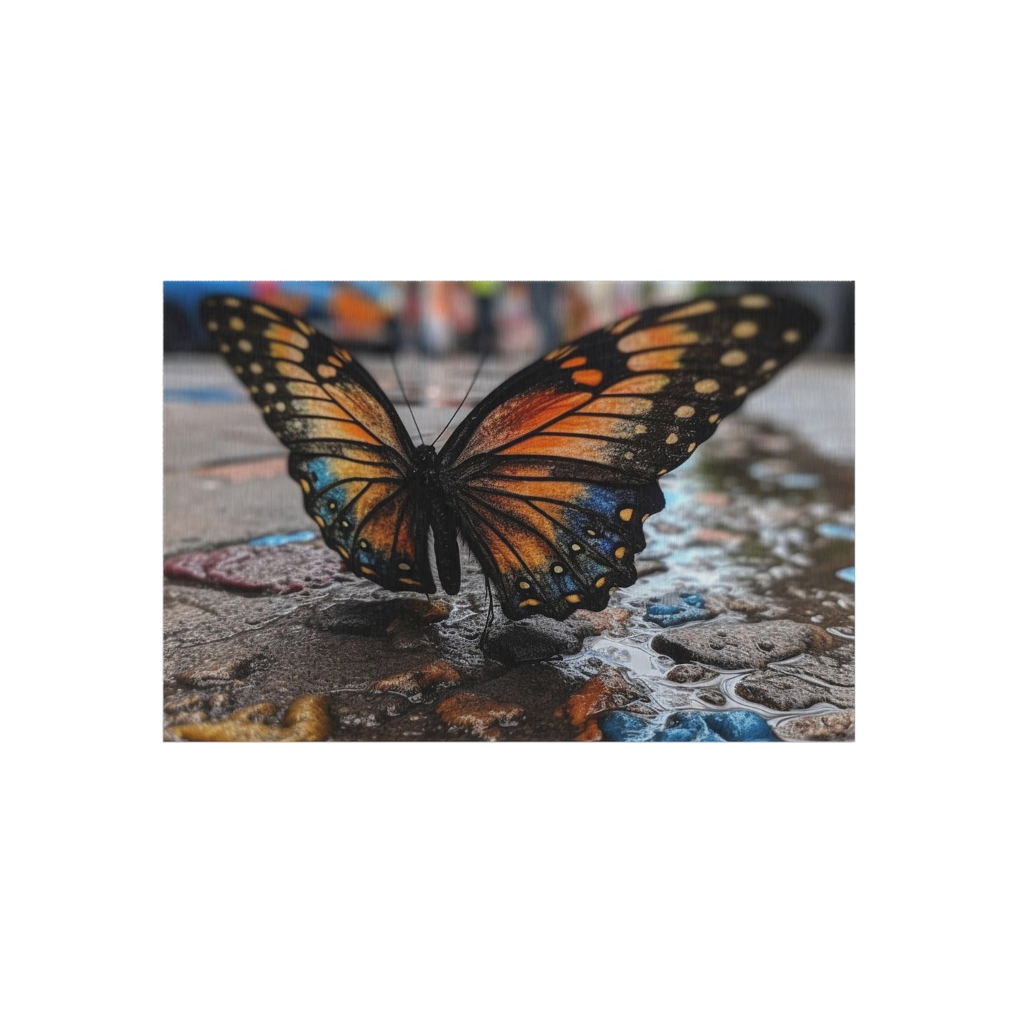 Outdoor Rug  Water Butterfly Street 4