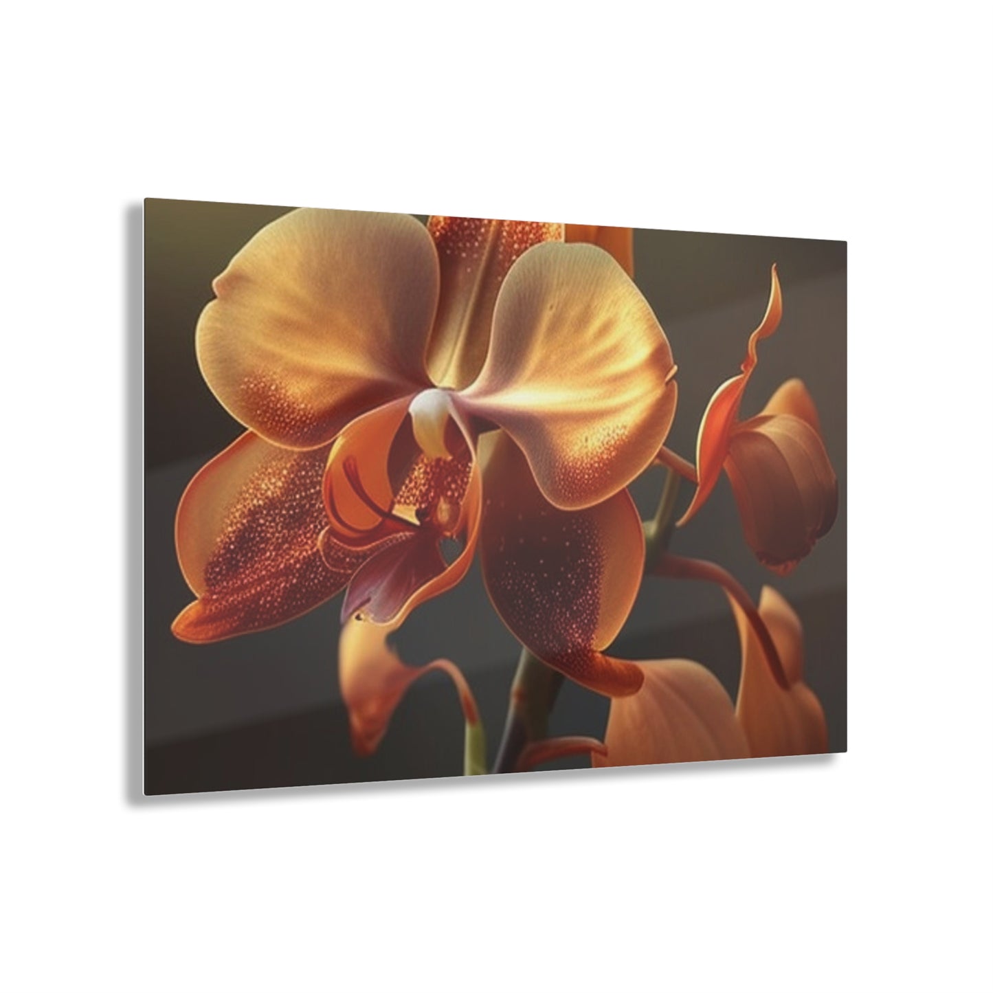 Acrylic Prints Orange Orchid 1