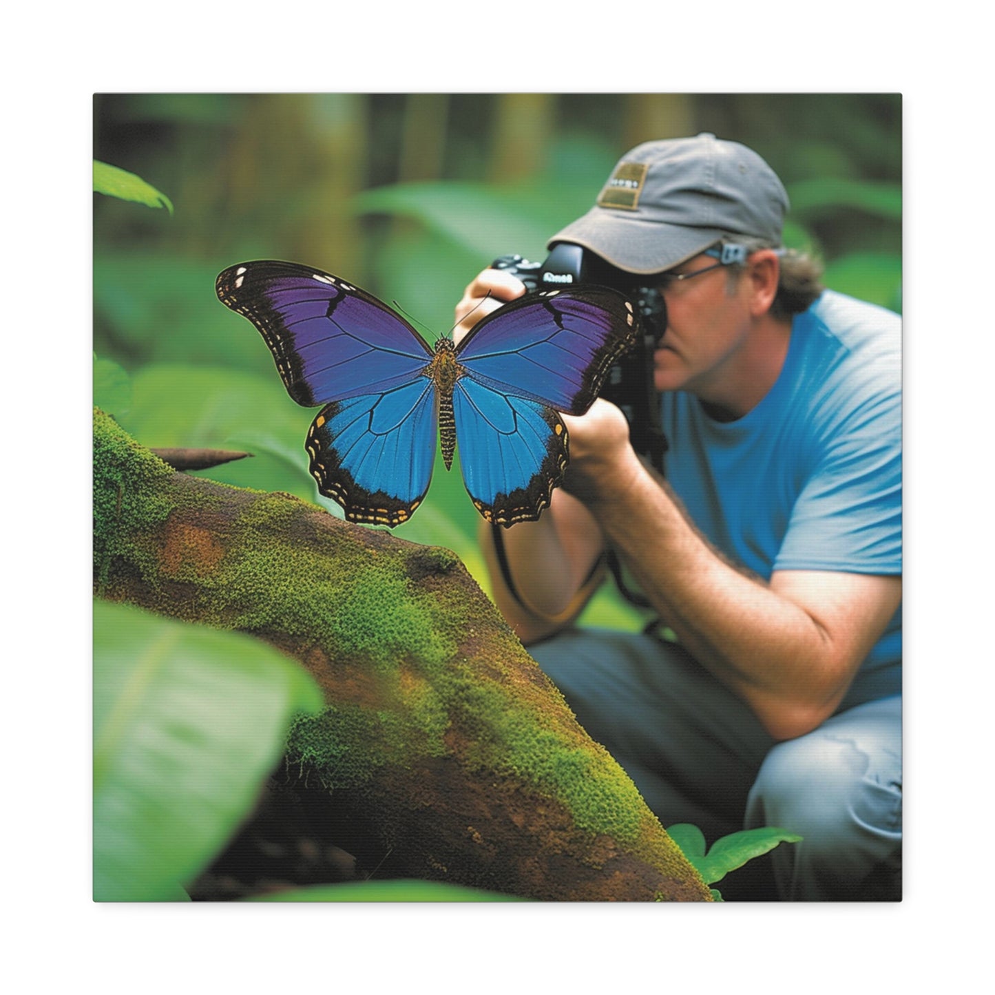 Canvas Gallery Wraps Jungle Butterfly 4