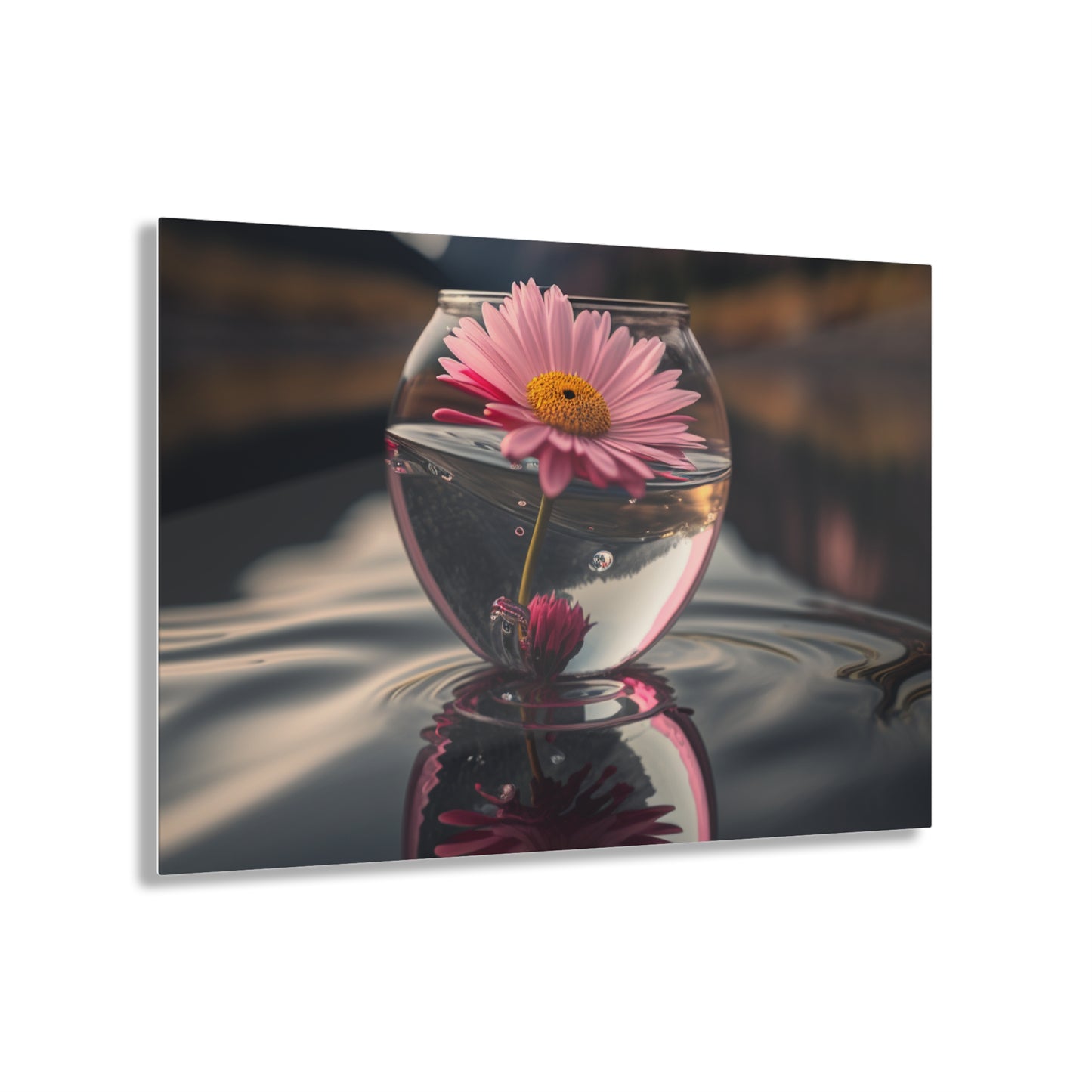 Acrylic Prints Daisy in a vase 3