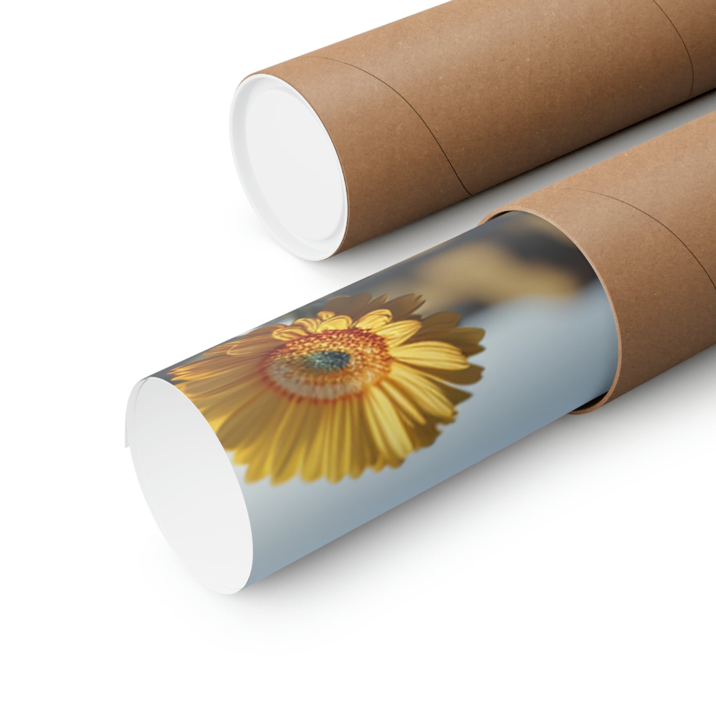 Premium Matte Vertical Posters yello Gerbera glass 5