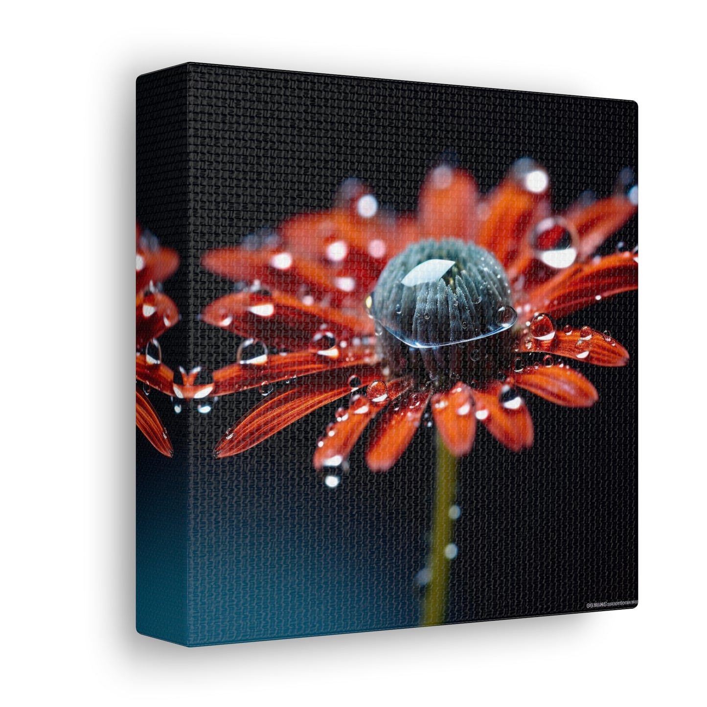 Canvas Gallery Wraps Water drop Macro Flower 1