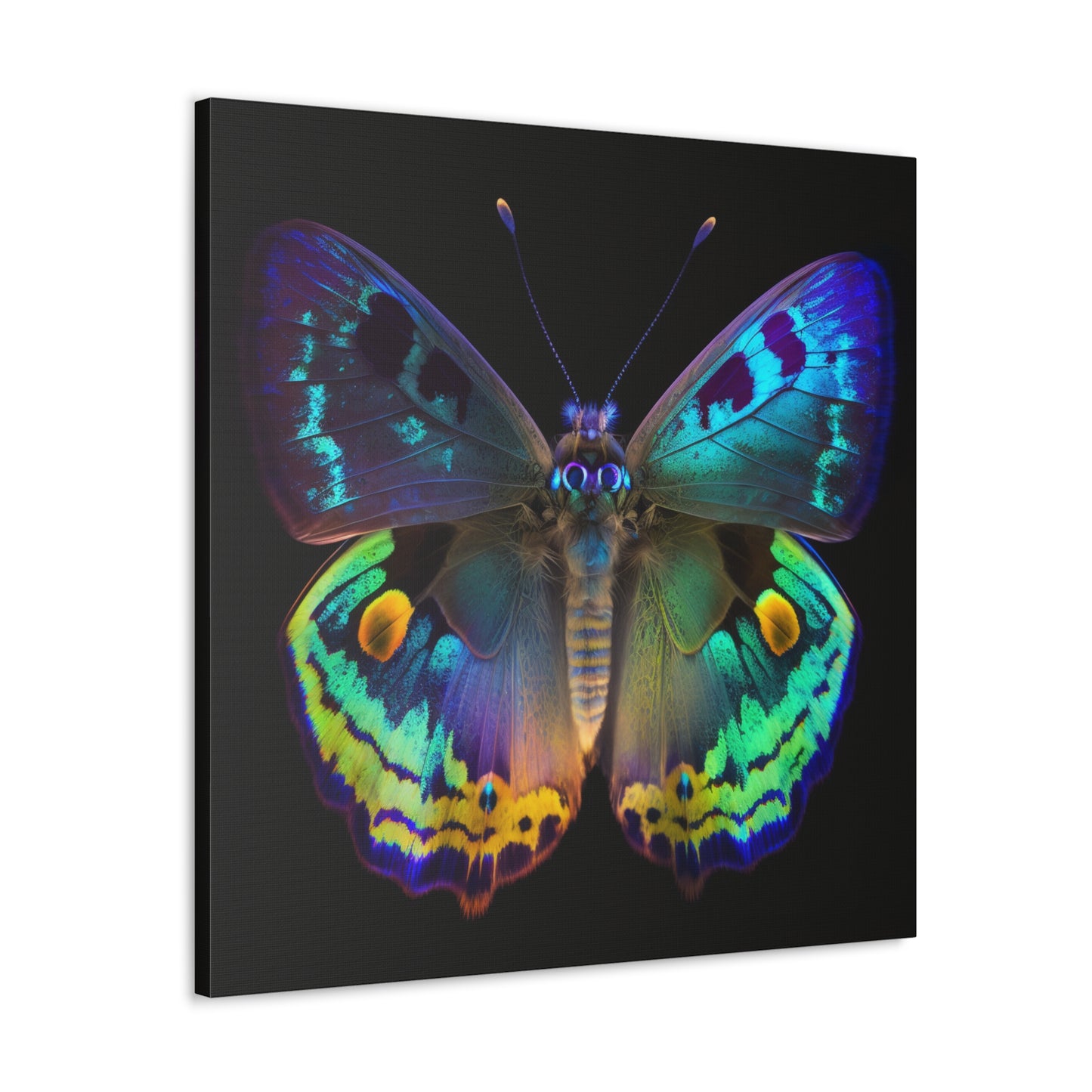 Canvas Gallery Wraps Neon Hue Butterfly 4