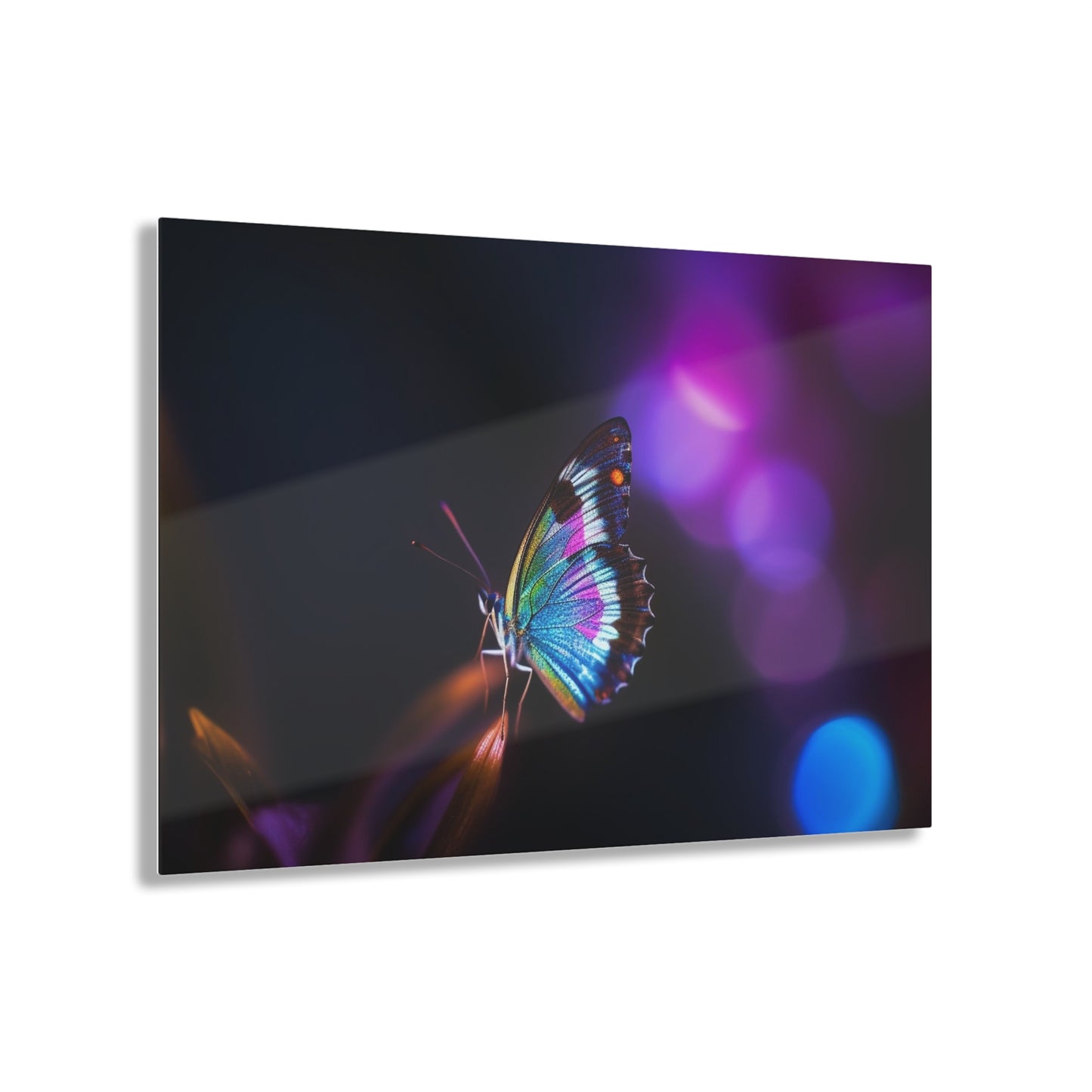 Acrylic Prints Photo Realistic Butterfly 1