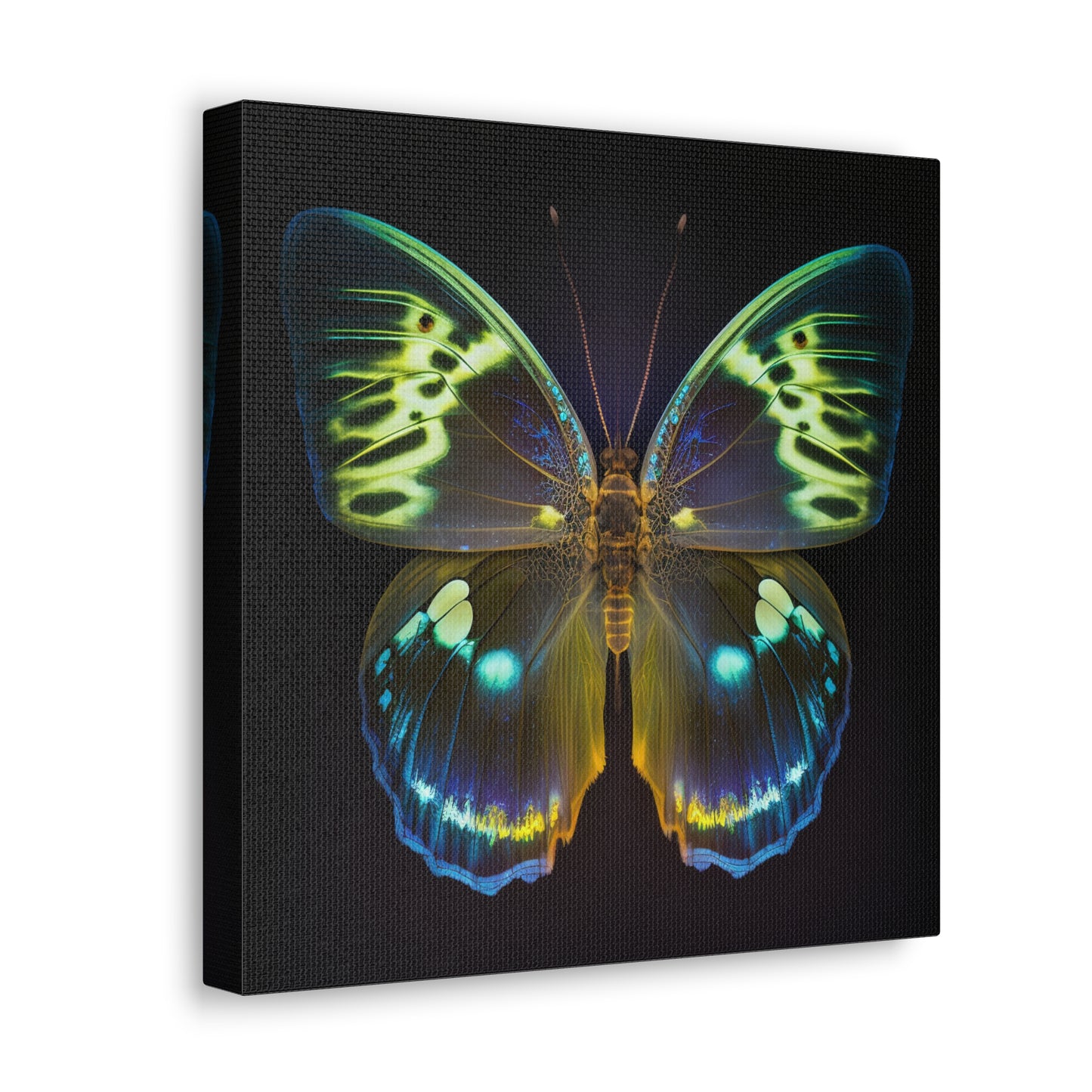 Canvas Gallery Wraps Neon Hue Butterfly 1
