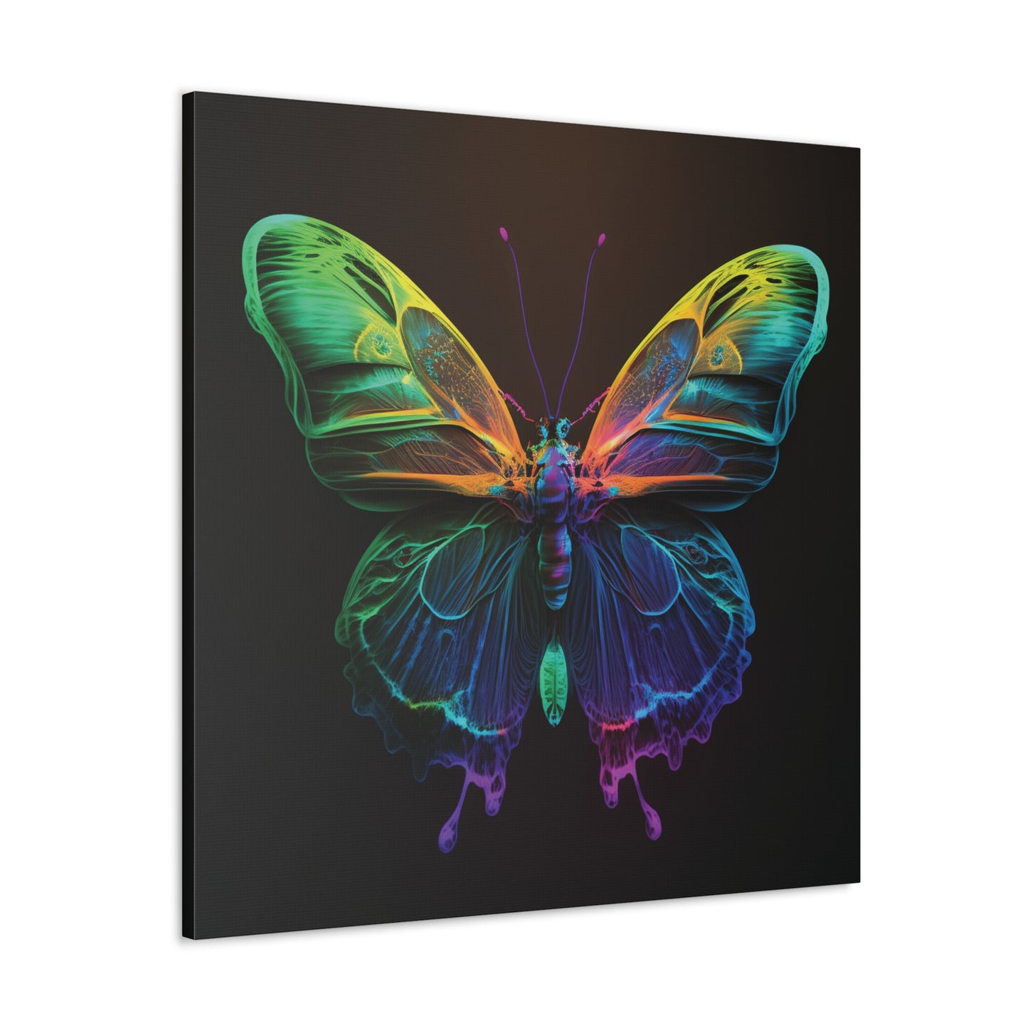 Canvas Gallery Wraps Raw Hyper Color Butterfly 3