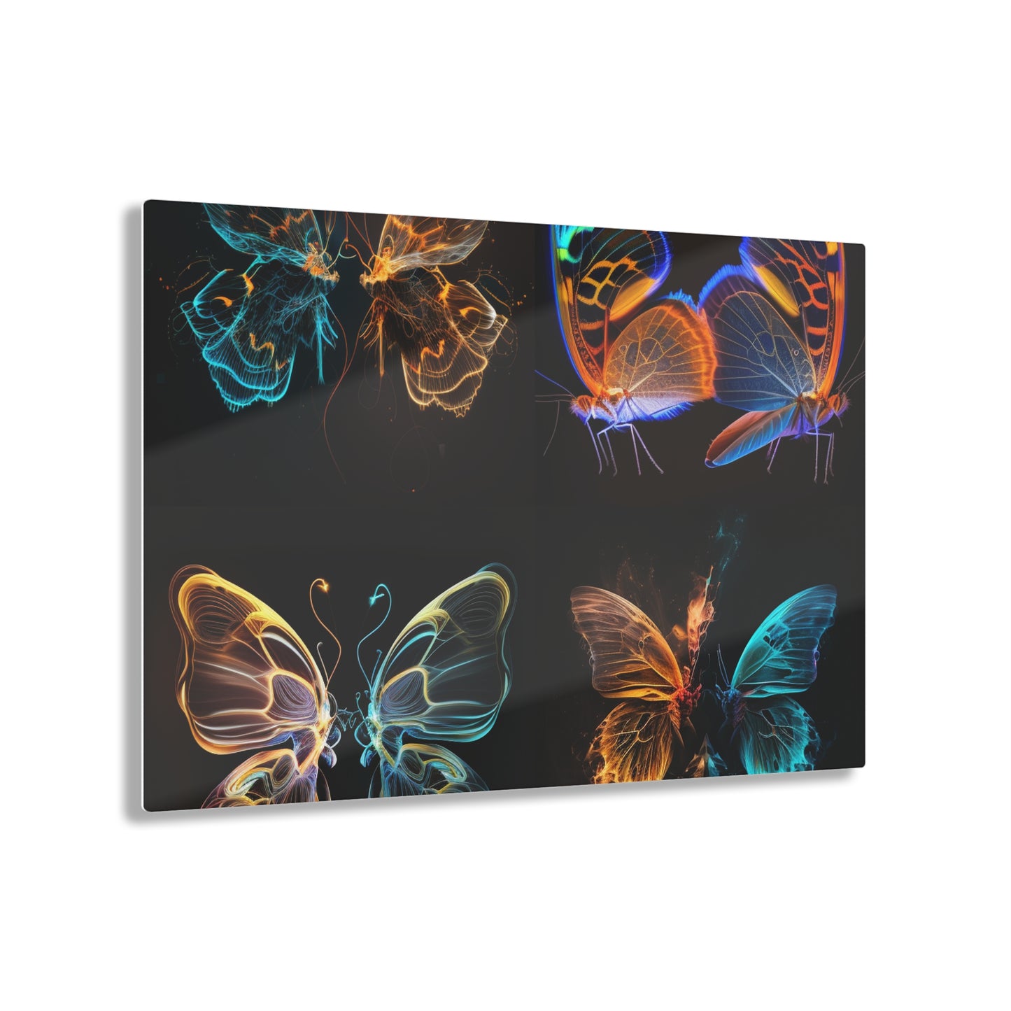 Acrylic Prints Neon Glo Butterfly 5