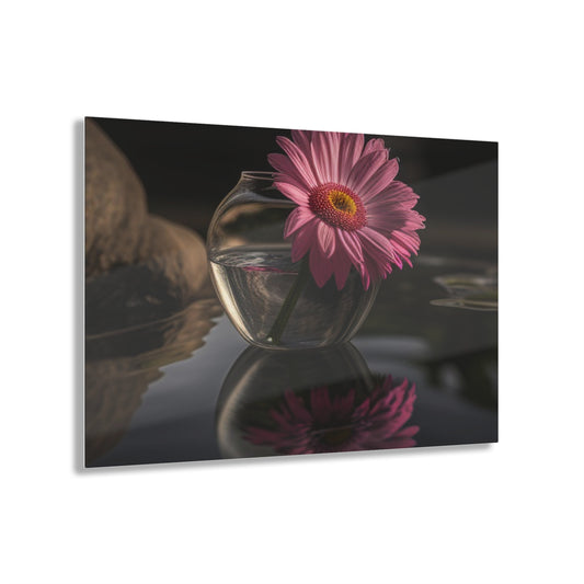 Acrylic Prints Pink Daisy 2