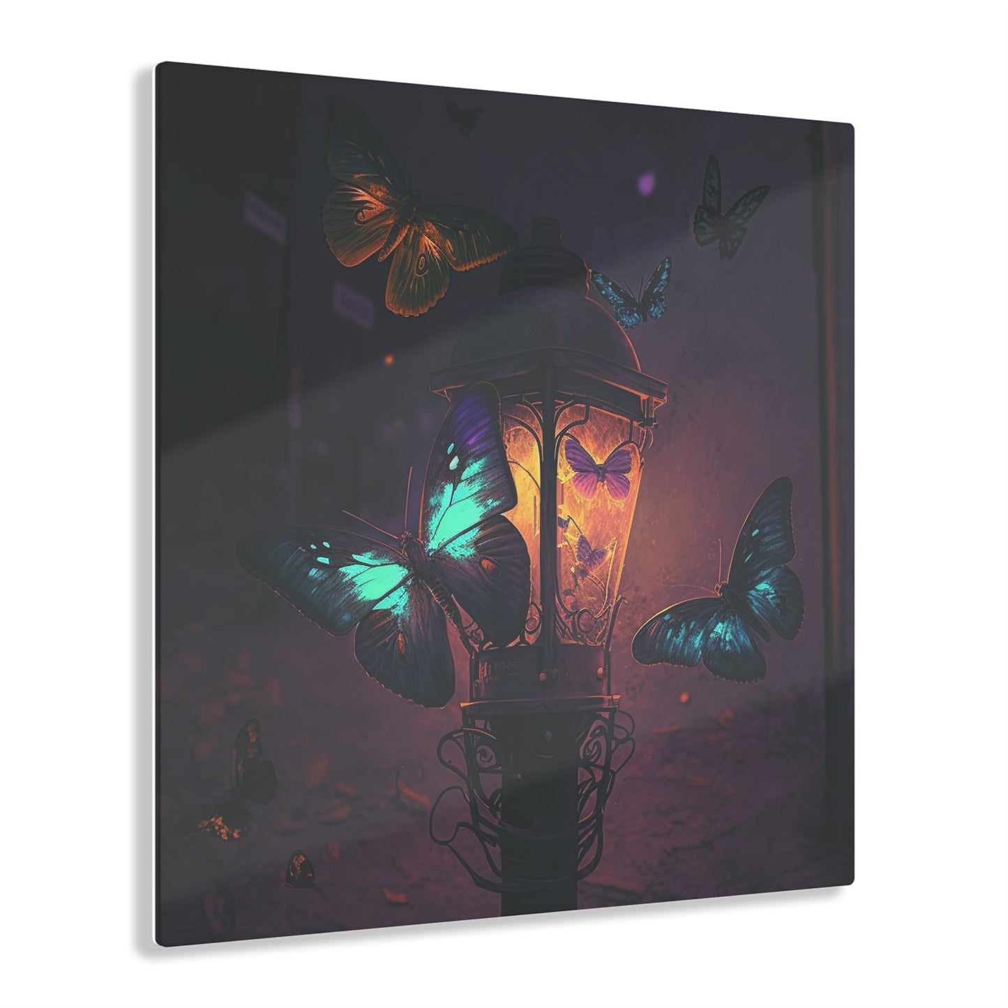 Acrylic Prints Street Light Butterfly 4