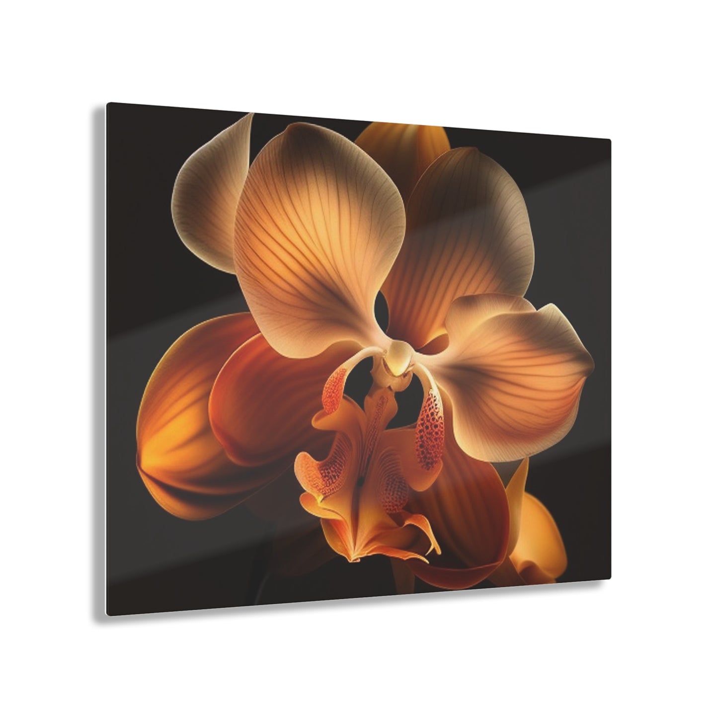 Acrylic Prints Orange Orchid 2